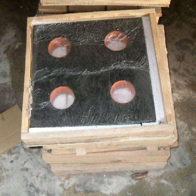 പരിശോധന ഭരണാധികാരി